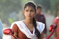 Amala Paul New Photos